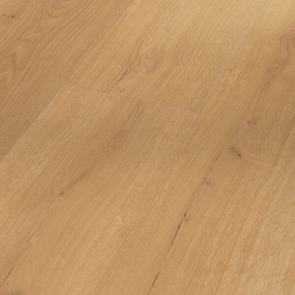 Vinyl Parador Basic 2.0 Dub Infinity prírodný 1730799 4,47 m²