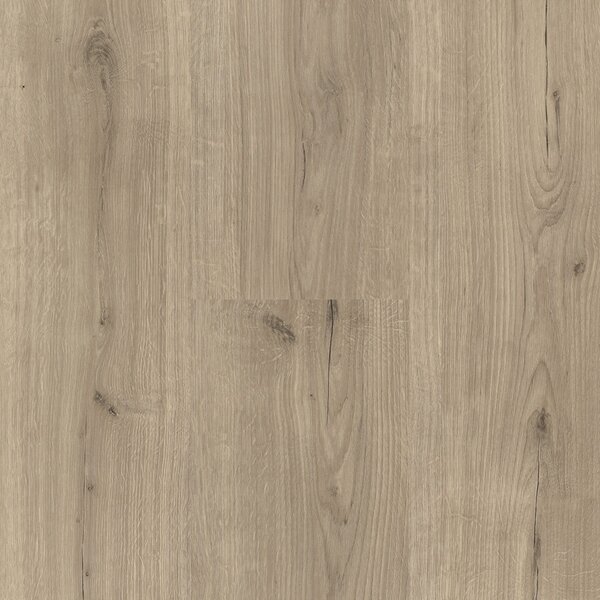 Vinyl Basic 30 Dub Infinity šedý 1730635 1,83 m²
