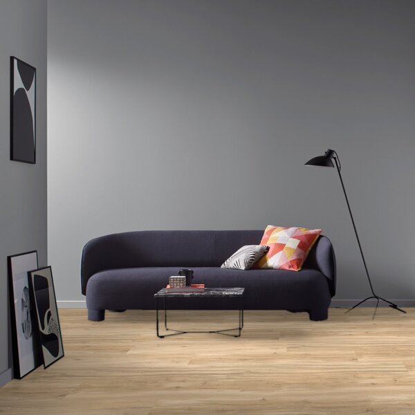 Vinyl Basic 30 Dub Memory brúsený 1730621 1,83 m²