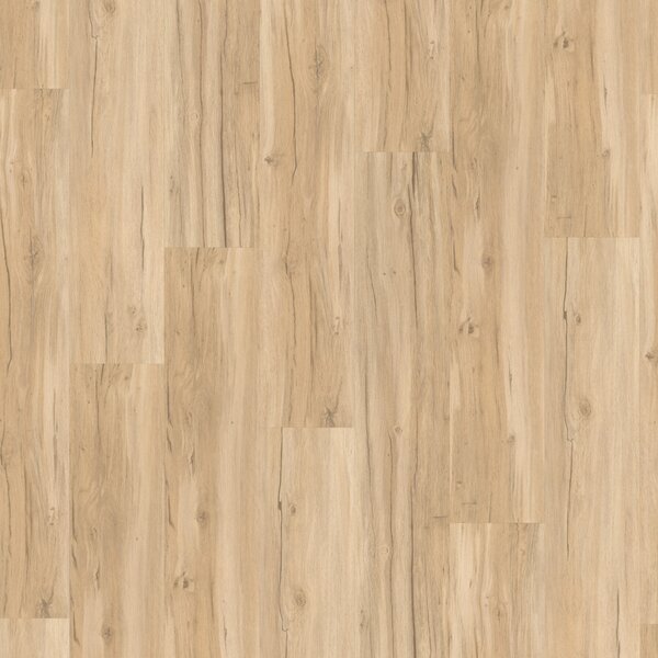 Vinyl Basic 30 Dub Memory brúsený 1730621 1,83 m²