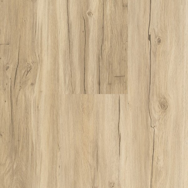 Vinyl Basic 30 Dub Memory brúsený 1730621 1,83 m²