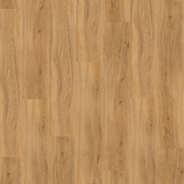 Vinyl Parador Basic 2.0 Dub Sierra prírodný 1730791 4,47 m²