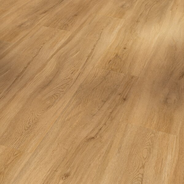 Vinyl Parador Basic 2.0 Dub Sierra prírodný 1730791 4,47 m²