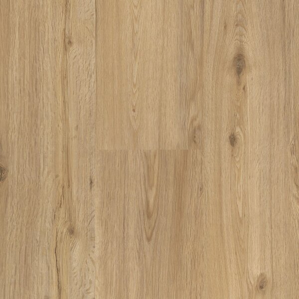 Vinyl Parador Basic 2.0 Dub prírodný 1730779 4,47 m²