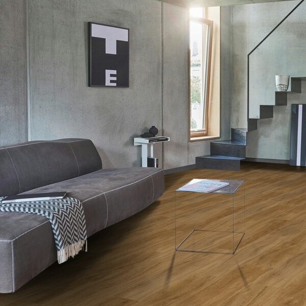 Vinyl Parador Basic 2.0 Dub Sierra prírodný 1730791 4,47 m²