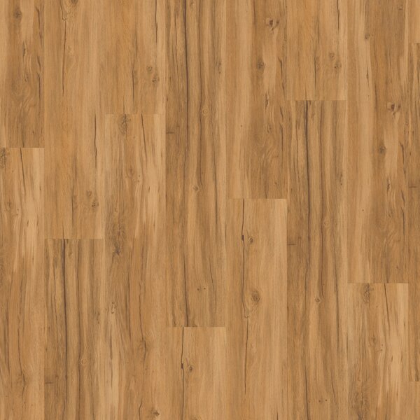 Vinyl Parador Basic 2.0 Dub Memory prírodný 1730796 4,47 m²