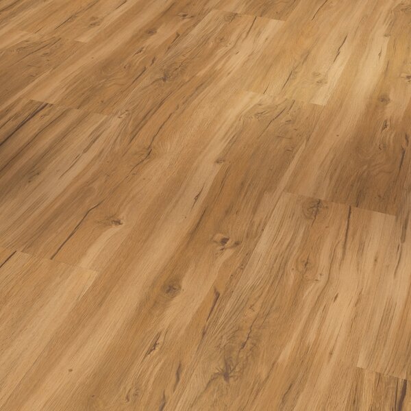 Vinyl Parador Basic 2.0 Dub Memory prírodný 1730796 4,47 m²