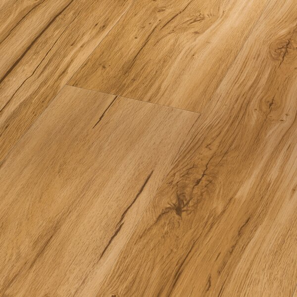 Vinyl Parador Basic 2.0 Dub Memory prírodný 1730796 4,47 m²