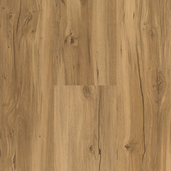 Vinyl Parador Basic 2.0 Dub Memory prírodný 1730796 4,47 m²