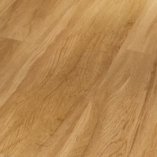 Vinyl Parador Basic 2.0 Dub Sierra prírodný 1730791 4,47 m²