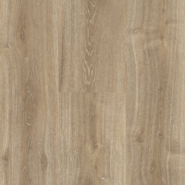 Vinyl Parador Basic 30 Dub Royal svetlo bielený 1604831 1,83 m²