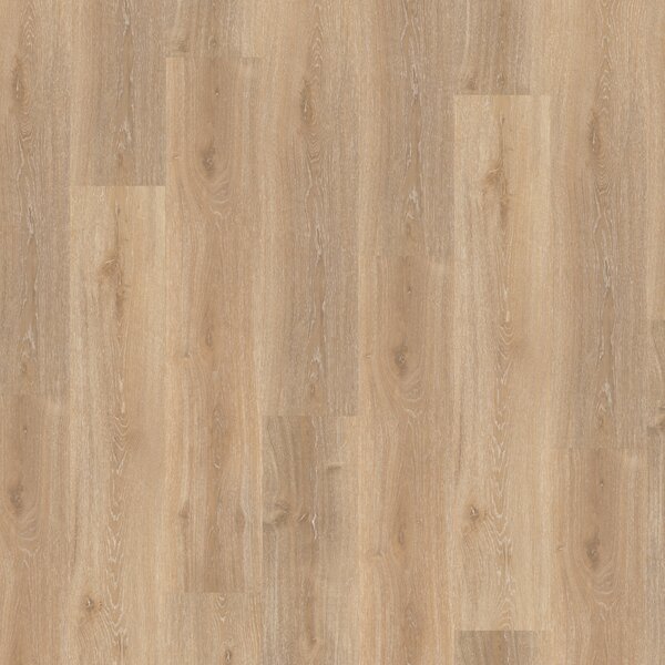 Vinyl Parador Basic 30 Dub Royal svetlo bielený 1604831 1,83 m²
