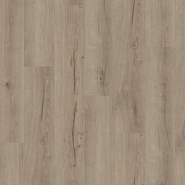Vinyl Parador Classic 2025 Dub Cambridge taupe 1748875 3,35 m²