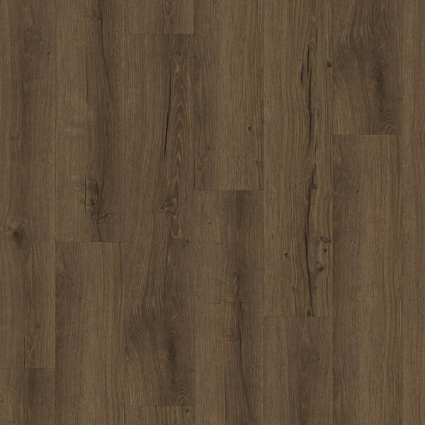 Vinyl Parador Classic 2025 Dub Cambridge dymový 1748874 3,35 m²