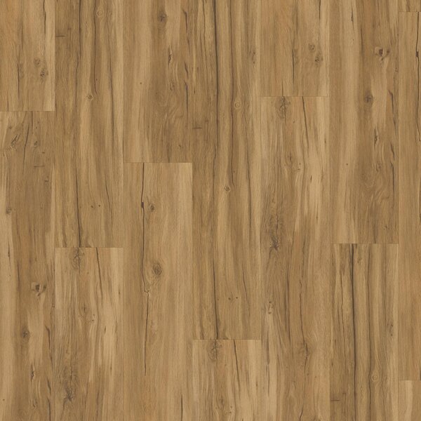 Vinyl Parador Classic 2025 Dub Memory prírodný 1748871 3,35 m²