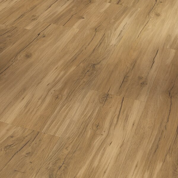 Vinyl Parador Classic 2025 Dub Memory prírodný 1748871 3,35 m²