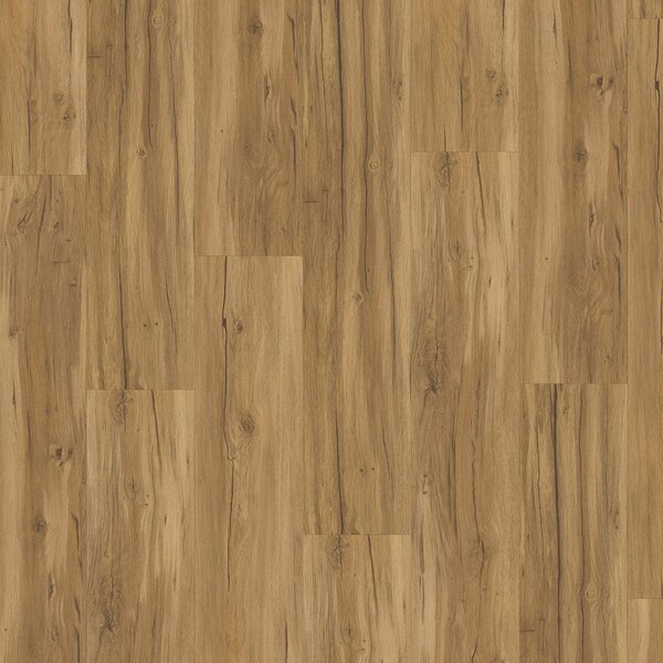 Vinyl Parador Classic 2025 Dub Memory prírodný 1748871 3,35 m²