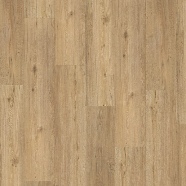 Vinyl Parador Classic 2025 Dub prírodný 1748872 3,35 m²