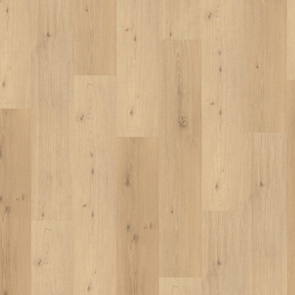 Vinyl Parador Classic 2030 Dub natural mix svetlý, 1730639 1,83 m²