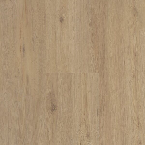 Vinyl Parador Classic 2030 Dub brúsený štruktúra dreva 1442052 1,83 m²