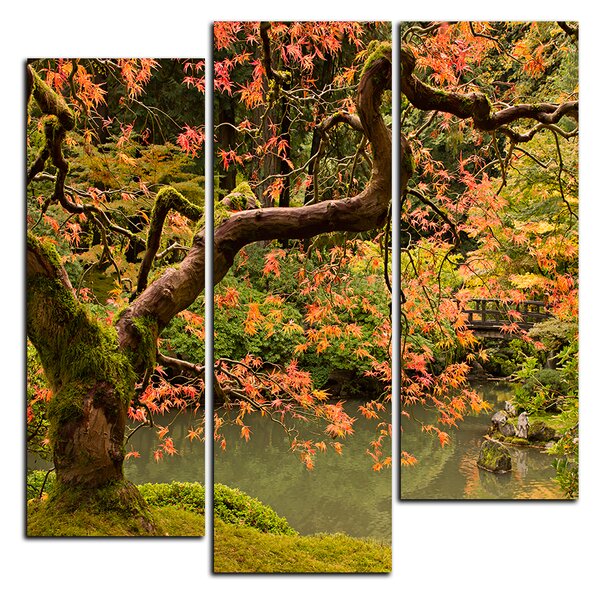 Obraz na plátne - Červený javor jeseň - štvorec 3241C (75x75 cm)
