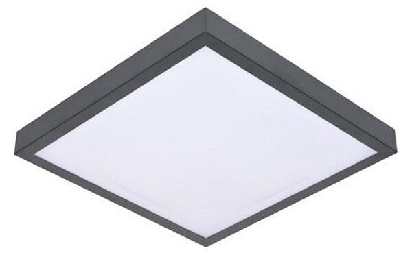 LED Stropné svietidlo so senzorom VITALI LED/24W/230V 4000K