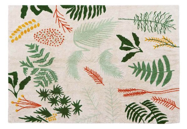 MUZZA Prateľný koberec botanico 170 x 240 cm farebný