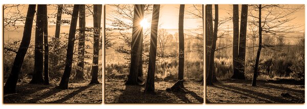 Obraz na plátne - Jesenné ráno v lese - panoráma 5251FB (90x30 cm)
