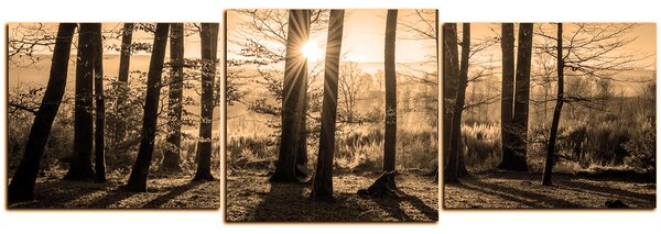 Obraz na plátne - Jesenné ráno v lese - panoráma 5251FD (90x30 cm)
