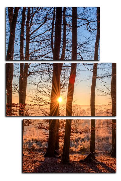 Obraz na plátne - Jesenné ráno v lese - obdĺžnik 7251D (90x60 cm)