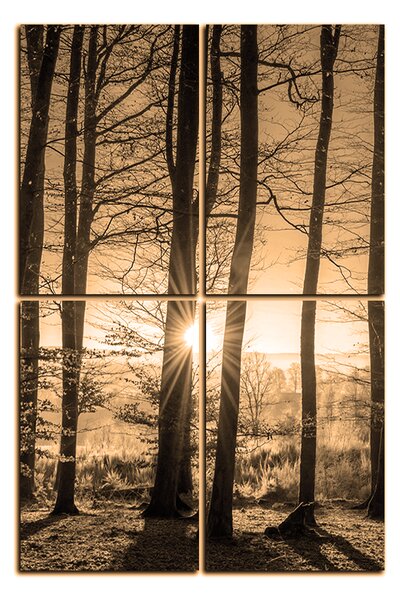Obraz na plátne - Jesenné ráno v lese - obdĺžnik 7251FE (90x60 cm)
