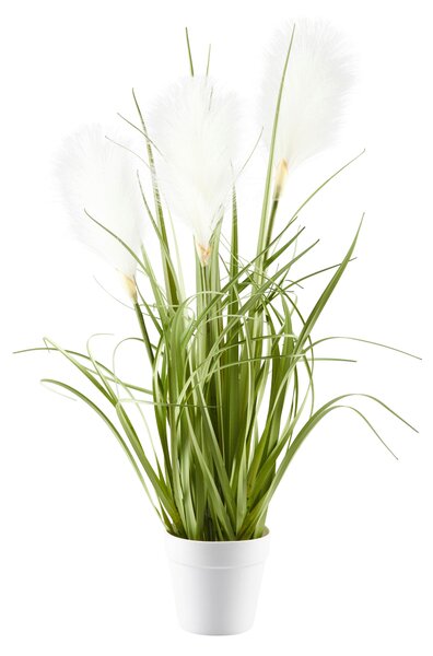 DEKORAČNÁ TRÁVA, 53 cm Ambia Home - Kvety & kvetináče