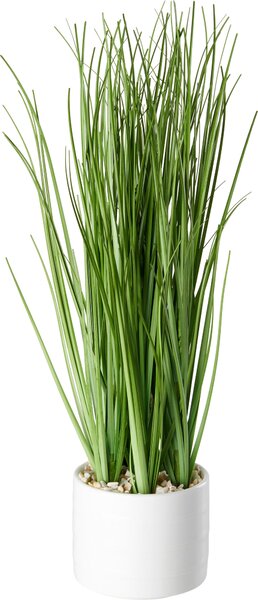 DEKORAČNÁ TRÁVA, 30 cm Ambia Home - Kvety & kvetináče