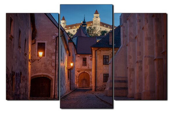 Obraz na plátne - Bratislava staré mesto s hradom vzadu 1265C (105x70 cm)