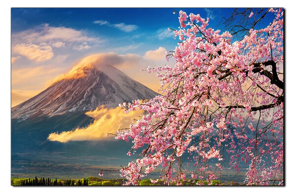 Obraz na plátne - Hora Fuji a čerešňové kvety na jar 1266A (60x40 cm)