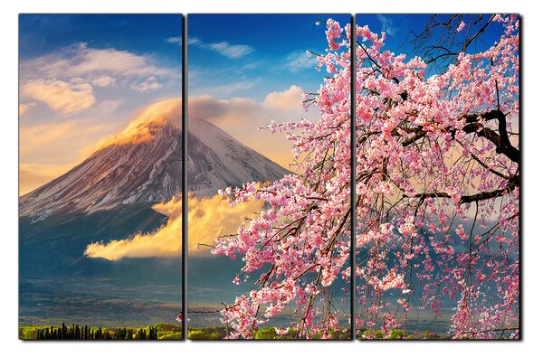 Obraz na plátne - Hora Fuji a čerešňové kvety na jar 1266B (90x60 cm )
