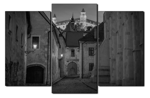 Obraz na plátne - Bratislava staré mesto s hradom vzadu 1265QC (90x60 cm)