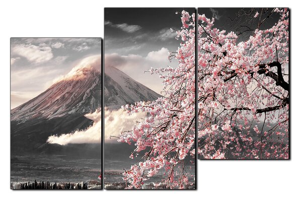 Obraz na plátne - Hora Fuji a čerešňové kvety na jar 1266QD (90x60 cm)
