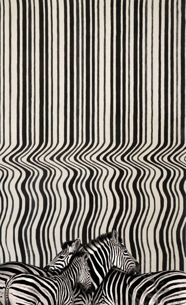 Koberec kusový Carpet Decor Handmade - DRAFT BLACK Rozmer koberca: 160x230 cm