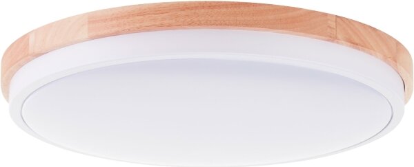 Brilliant - LED St. stropné svietidlo BAARLO LED/24W/230V pr. 35 cm biela