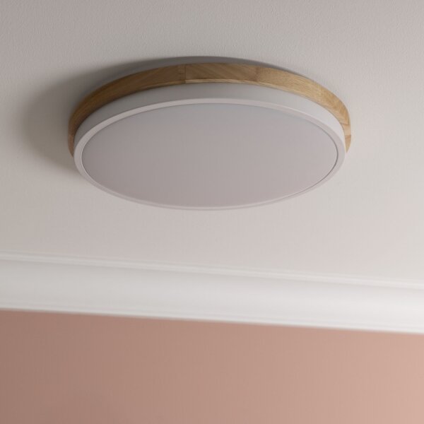 Brilliant - LED St. stropné svietidlo BAARLO LED/24W/230V pr. 35 cm biela