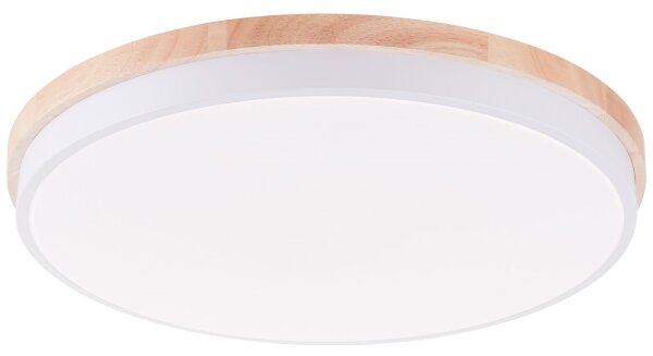 Brilliant - LED St. stropné svietidlo BAARLO LED/36W/230V pr. 50 cm biela + DO
