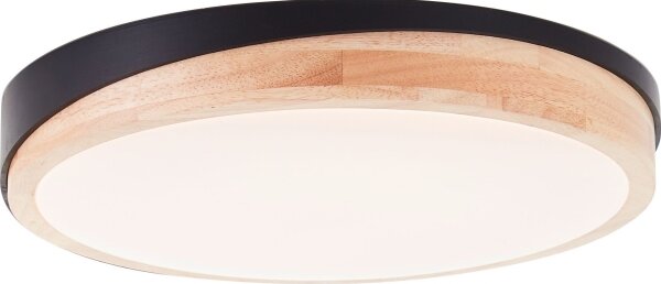 Brilliant - LED St. stropné svietidlo BAARLO LED/24W/230V pr. 35 cm čierna