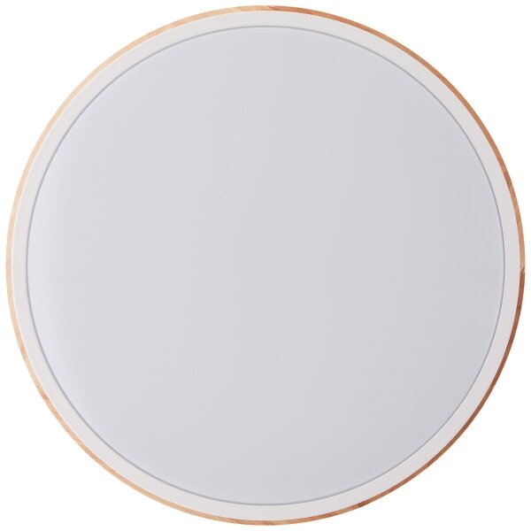 Brilliant - LED St. stropné svietidlo BAARLO LED/24W/230V pr. 35 cm biela