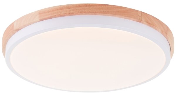 Brilliant - LED St. stropné svietidlo BAARLO LED/24W/230V pr. 35 cm biela