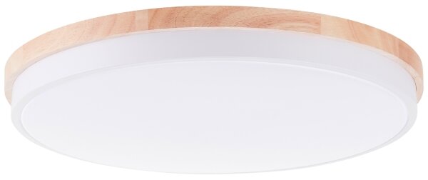 Brilliant - LED St. stropné svietidlo BAARLO LED/36W/230V pr. 50 cm biela + DO