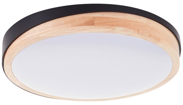 Brilliant - LED St. stropné svietidlo BAARLO LED/24W/230V pr. 35 cm čierna