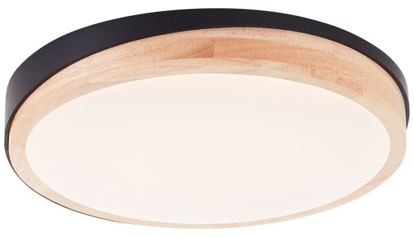 Brilliant - LED St. stropné svietidlo BAARLO LED/24W/230V pr. 35 cm čierna