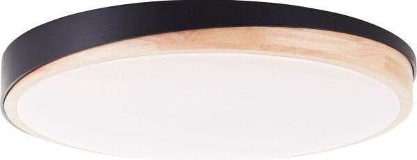 Brilliant - LED St. stropné svietidlo BAARLO LED/36W/230V pr. 50 cm čierna + DO