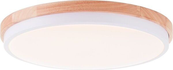 Brilliant - LED St. stropné svietidlo BAARLO LED/24W/230V pr. 35 cm biela